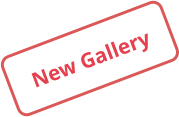 New Gallery